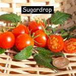 Sugardrop