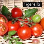 Tigerella rot
