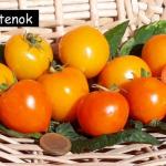 Utenok