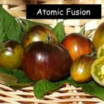 Atomic Fusion