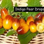Indigo Pear Drops