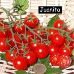 Juanita