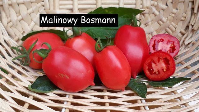 Malinowy Bosmann