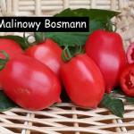 Malinowy Bosmann
