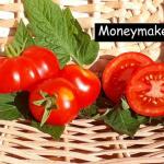 Moneymaker