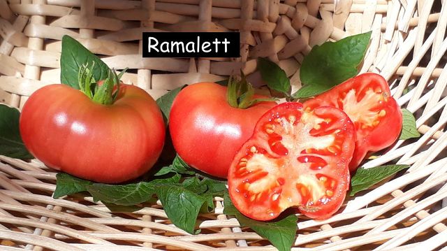 Ramalett