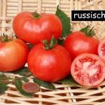 Russisch Rosa