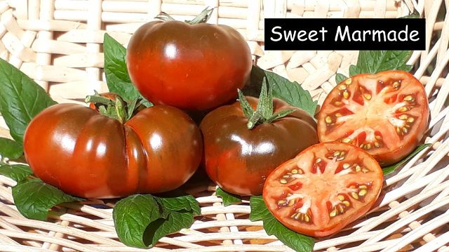 Sweet Marmade