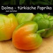 Dolma