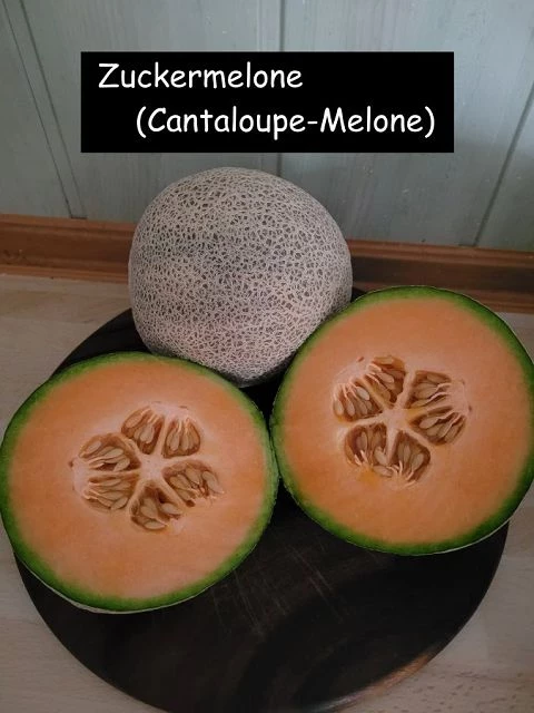 Zuckermelone (Cantaloupe-Melone)