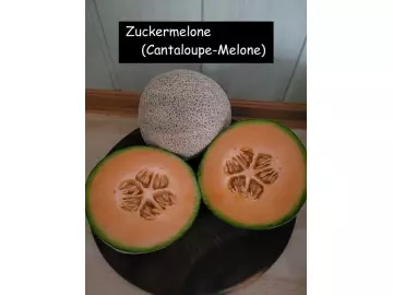 Zuckermelone (Cantaloupe-Melone)