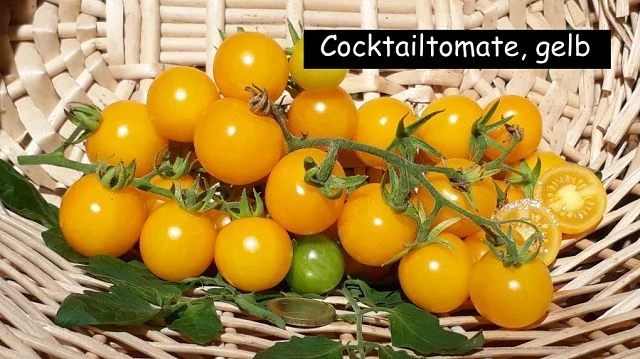 gelbe Rispe - Cocktailtomate