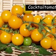 gelbe Rispe - Cocktailtomate