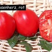 Ochsenherz, rot