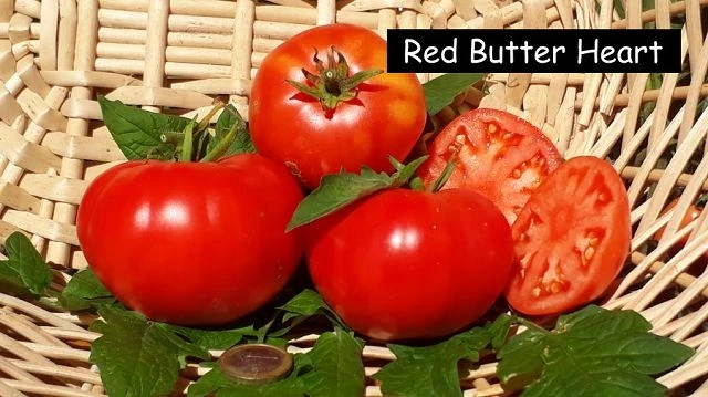 Red Butter Heart