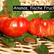 Ananas, flache Frucht
