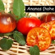 Ananas, hohe Frucht