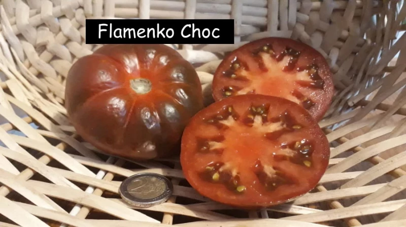 Flamenko Choc