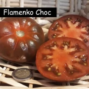 Flamenko Choc