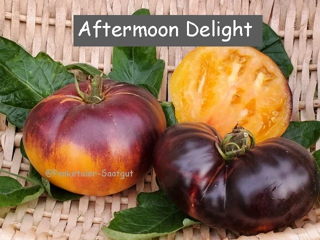 Afternoon Delight (Fleischtomate)