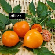 Allure
