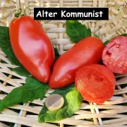 Alter Kommunist