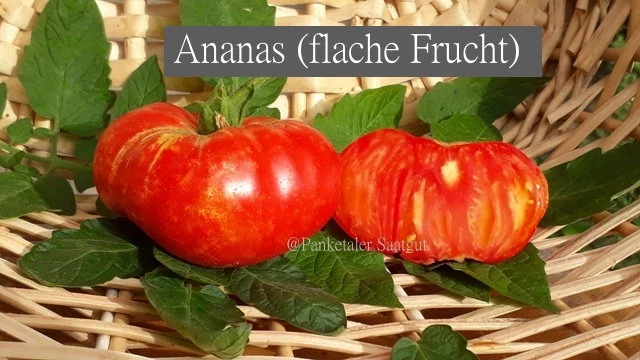 Ananas, flache Frucht