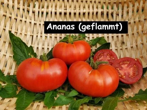Ananas, geflammt