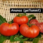 Ananas, geflammt