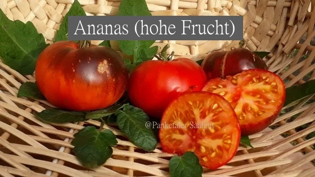 Ananas, hohe Frucht