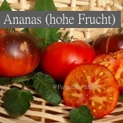 Ananas, hohe Frucht
