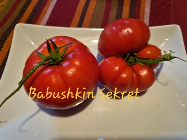 Babushkina Sekret (Fleischtomate)