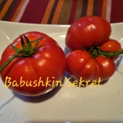 Babushkina Sekret (Fleischtomate)