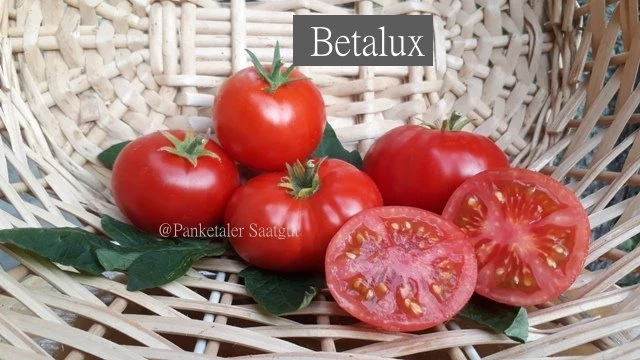 Betalux