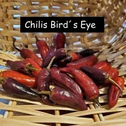 Bird´s Eye Chili
