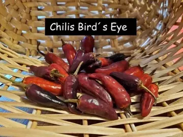 Bird´s Eye Chili