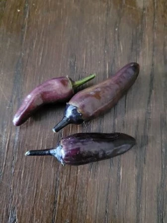 Bird´s Eye Chili