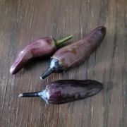 Bird´s Eye Chili