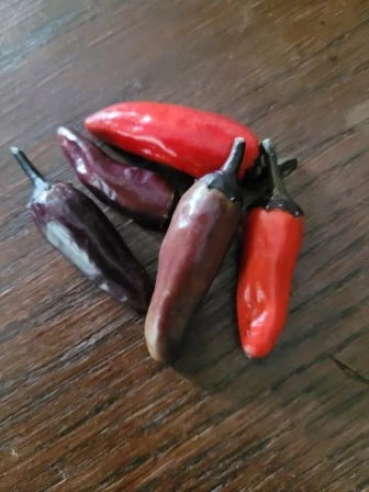 Bird´s Eye Chili