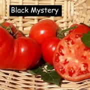 Black Mystery