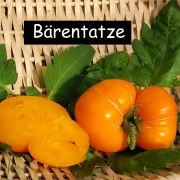 Bärentatze, gelb