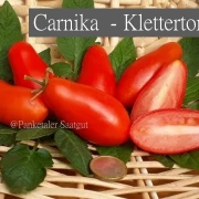 Carnica - Ranktomate
