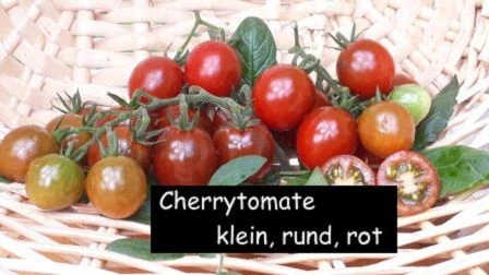 Cherrytomate (klein, rot, rund)