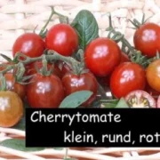Cherrytomate (klein, rot, rund)