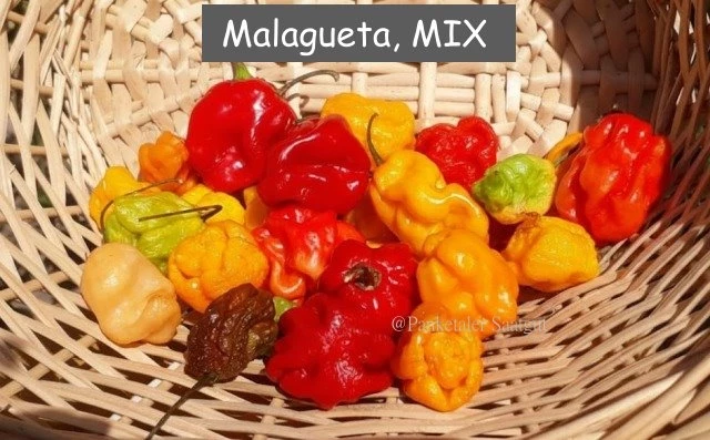 Chilli  Habanero - Mix