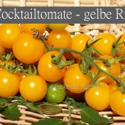 Cocktailtomate - gelbe Rispe