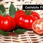 Costoluto Fiorentino