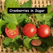 Cranberries in Sugar