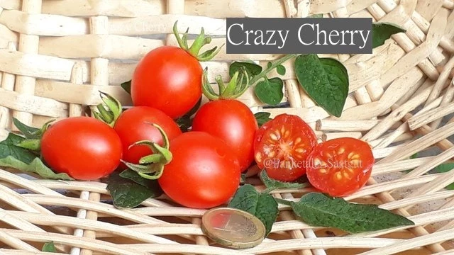 Crazy Cherry