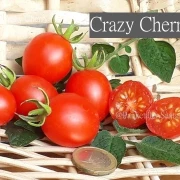 Crazy Cherry
